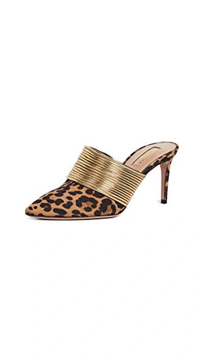 Shop Aquazzura Rendez Vous 75mm Mules In Sabbia/gold