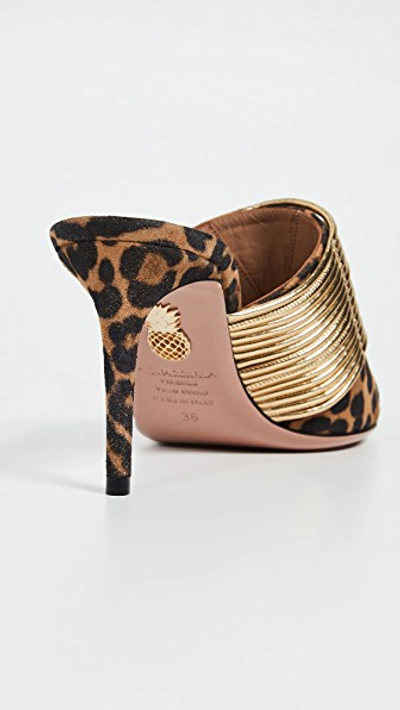 Shop Aquazzura Rendez Vous 75mm Mules In Sabbia/gold