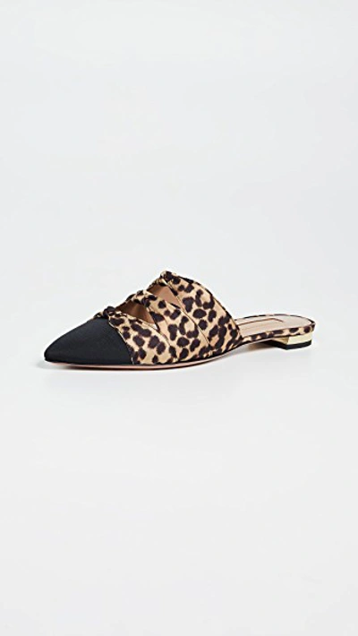 Mondaine Mules Flats