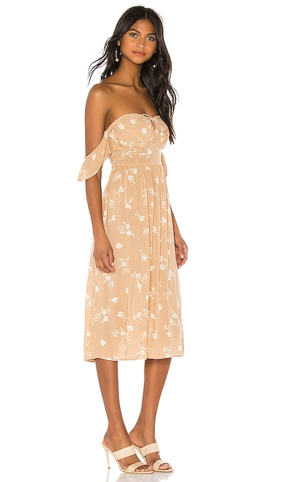 Shop Amuse Society Regency Midi Dress In Latte