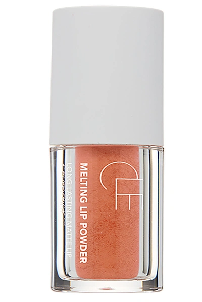 Shop Cle Cosmetics Melting Lip Colour Lady Guava In Peach