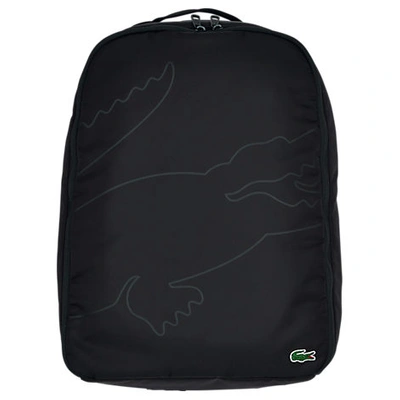Shop Lacoste Croc Outline Backpack In Black Polyamide