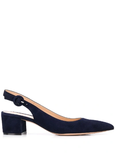 Shop Gianvito Rossi Pointed Low Pumps - Blue