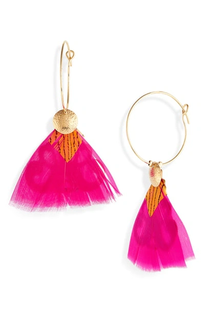 Shop Gas Bijoux Bermude Feather Hoop Earrings In Pink