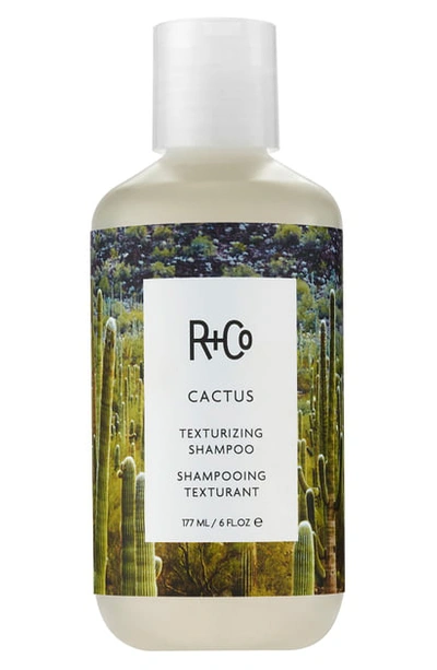 Shop R + Co Cactus Texturizing Shampoo