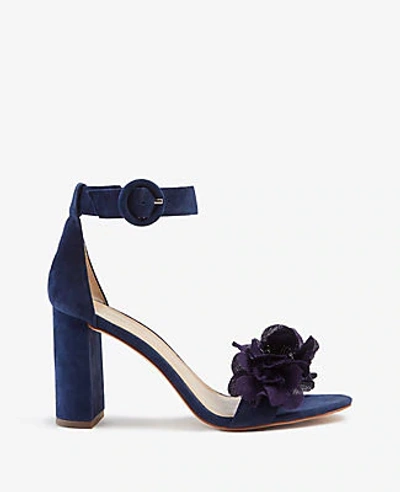 Shop Ann Taylor Leannette Flower Suede Block Heel Sandals In Blue