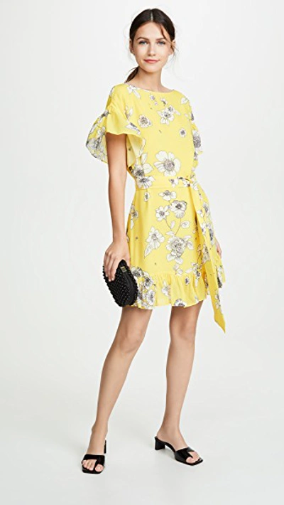 Shop Alice And Olivia Ellamae Drop Shoulder Ruffle Sleeve Dress In Begonia Citrus