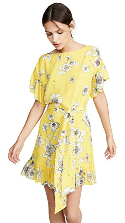 Shop Alice And Olivia Ellamae Drop Shoulder Ruffle Sleeve Dress In Begonia Citrus