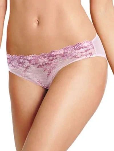 Shop Wacoal Embrace Lace Panties In Lilac Sachet Multi