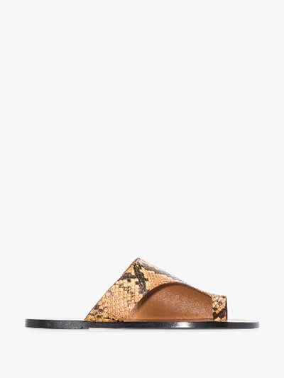 Shop Atp Atelier Terracotta Rosa Snake Print Thong Leather Sandals In Brown