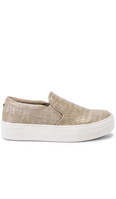 Shop Steve Madden Gills Sneaker In Taupe Crocco
