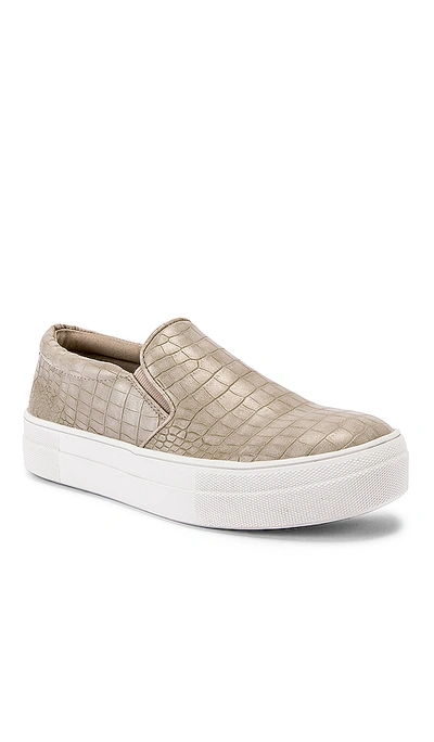 Shop Steve Madden Gills Sneaker In Taupe Crocco