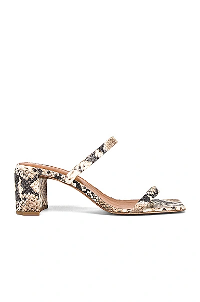 Shop By Far Tanya Sandal In Snake Print Leather