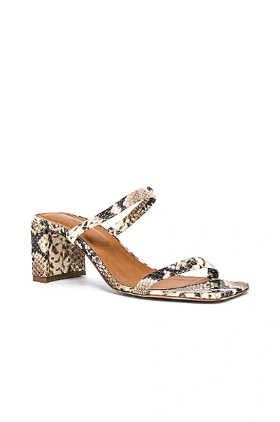 Shop By Far Tanya Sandal In Snake Print Leather