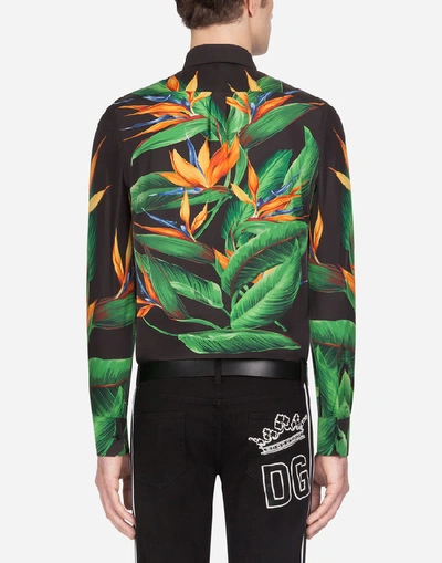 Shop Dolce & Gabbana Cotton Martini-fit Shirt With Bird Of Paradise Print In Multicolored