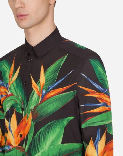 Shop Dolce & Gabbana Cotton Martini-fit Shirt With Bird Of Paradise Print In Multicolored