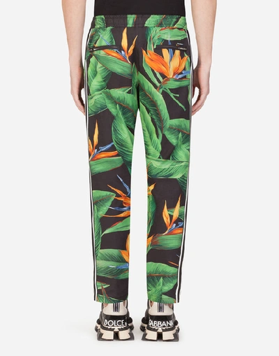 Shop Dolce & Gabbana Cotton Jogging Pants With Bird Of Paradise Print In Multicolored