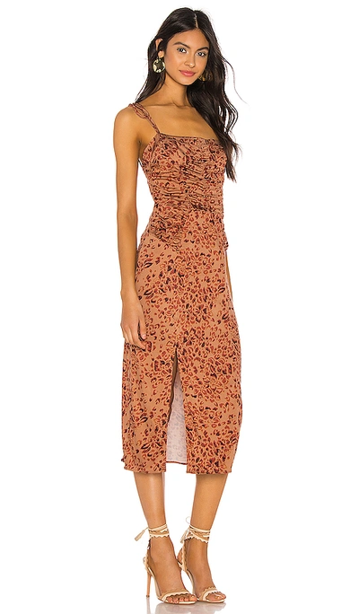 Shop Free People Show Stopper Midi Dress In Brown Combo
