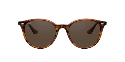 Ray Ban Ray In Brown