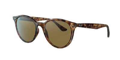 Shop Ray Ban Ray In Brown