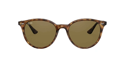 Ray Ban Ray In Brown