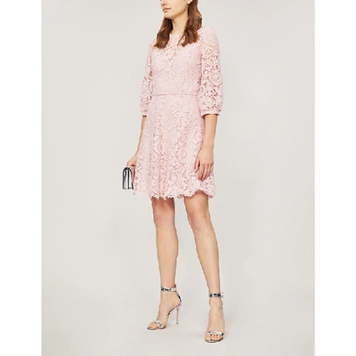 Shop Valentino Flared Floral Lace Mini Dress In Poudre