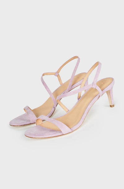 Shop Joie Madi Sandal In Lilac