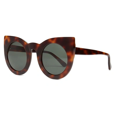 Shop Le Monde Beryl Tortoise Shell Sorrento Sunglasses