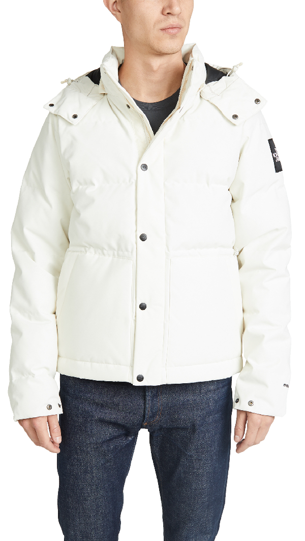 the north face gordon