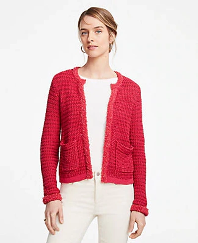 Shop Ann Taylor Petite Fringe Trim Sweater Jacket In Bollywood Pink
