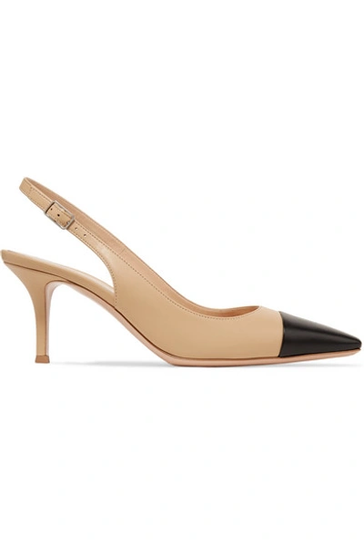 Shop Gianvito Rossi Lucy 70 Two-tone Leather Mules In Beige