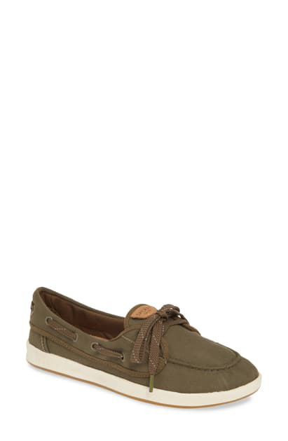 sperry drift hale