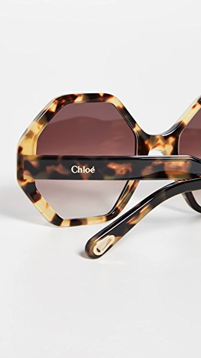 Shop Chloé Willow Octagonal Sunglasses In Havana