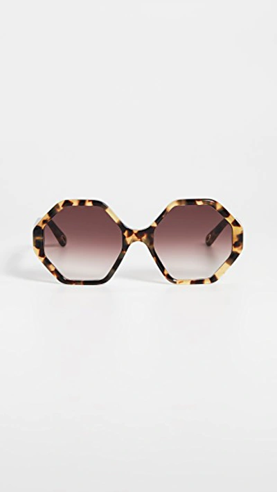 Shop Chloé Willow Octagonal Sunglasses In Havana