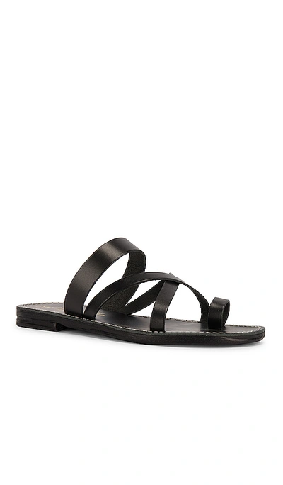 Shop Seychelles So Precious Sandal In Black