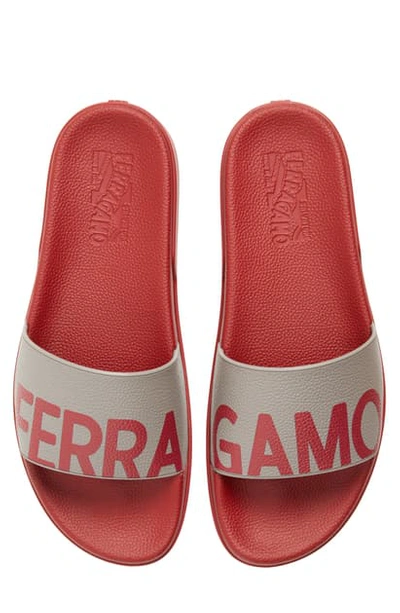 Shop Ferragamo Amos Slide Sandal In Palegrey