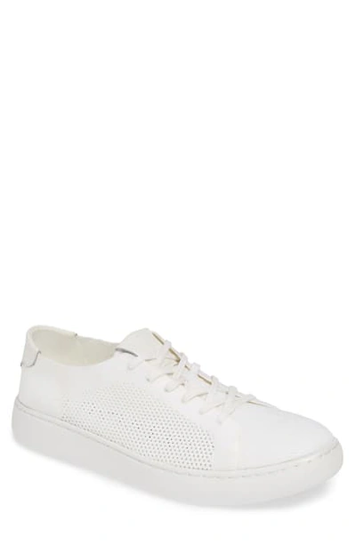 Shop Calvin Klein Freeport Sneaker In White