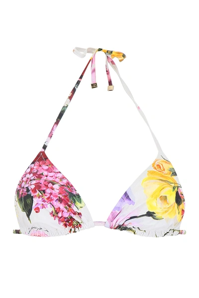 Shop Dolce & Gabbana Floral Print Bikini Top In Ortensie Fiori Fdo Nat