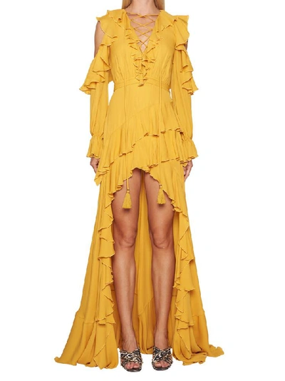 Shop Elie Saab Daisy Dress In Yellow