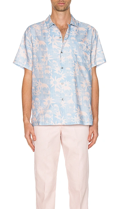 Shop Double Rainbouu Hawaiian Shirt In Paradise City Pink