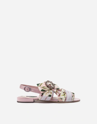 Shop Dolce & Gabbana Lily-print Cady Sandals In Pink