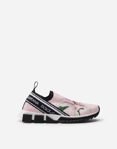 Shop Dolce & Gabbana Stretch Jersey Sorrento Sneakers With Lily Print In Pink