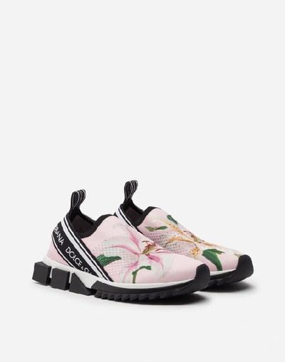 Shop Dolce & Gabbana Stretch Jersey Sorrento Sneakers With Lily Print In Pink