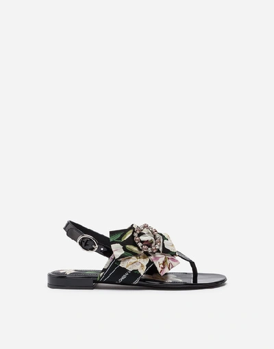 Shop Dolce & Gabbana Lily-print Cady Thong Sandals In Floral Print