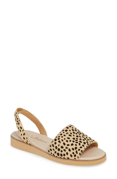 Shop Matisse Easy Sandal In Cheetah Haircalf