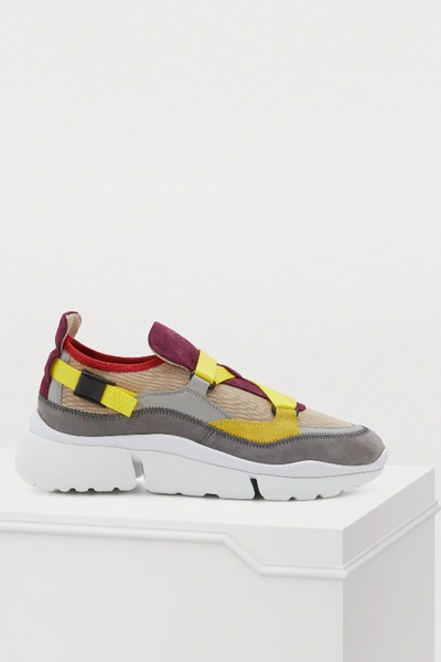 Shop Chloé Sonnie Sneakers In Purple