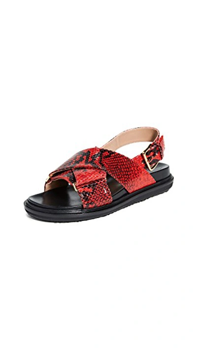 Shop Marni Fussbett Sandals In Red
