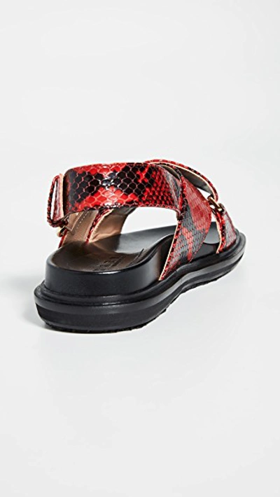 Shop Marni Fussbett Sandals In Red