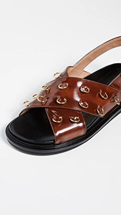 Shop Marni Fussbett Sandals In Moka
