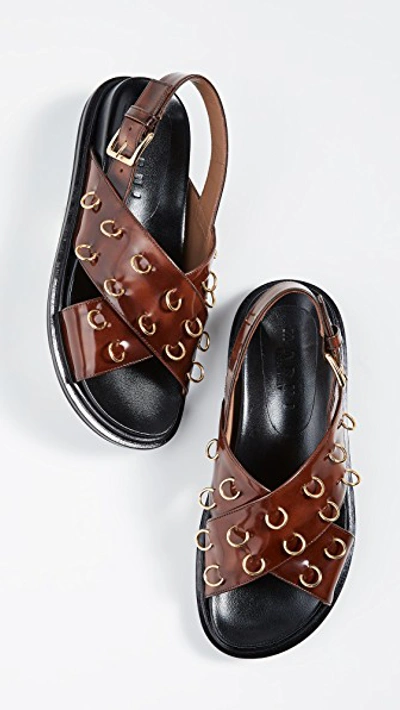 Shop Marni Fussbett Sandals In Moka